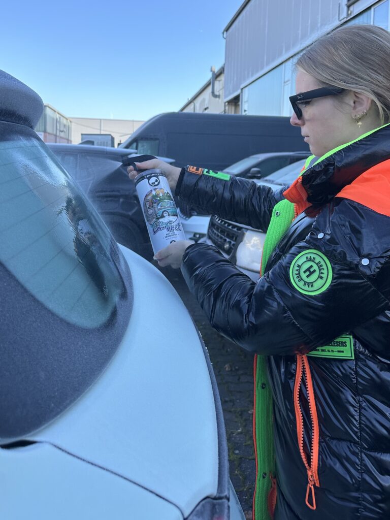 Nuke Guys EisFrei Scheibenenteiser bei Frost